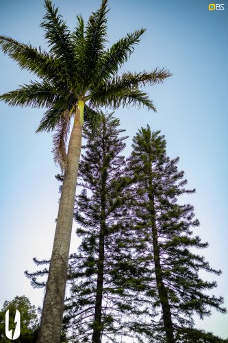 Storm 9 anos na Casinha